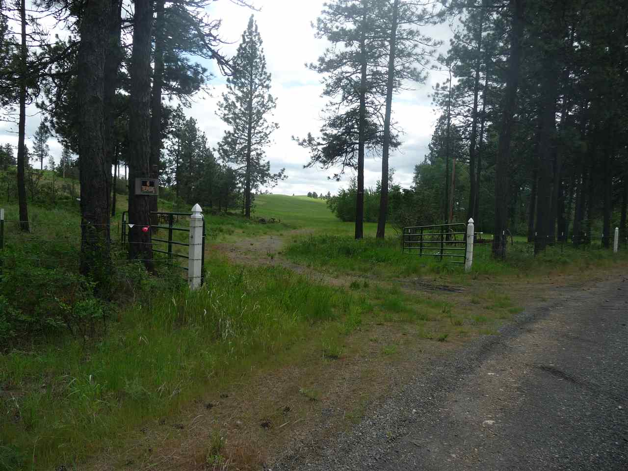 2407 West Jennings Road Spangle, WA 99031 - Photo 1 of 18