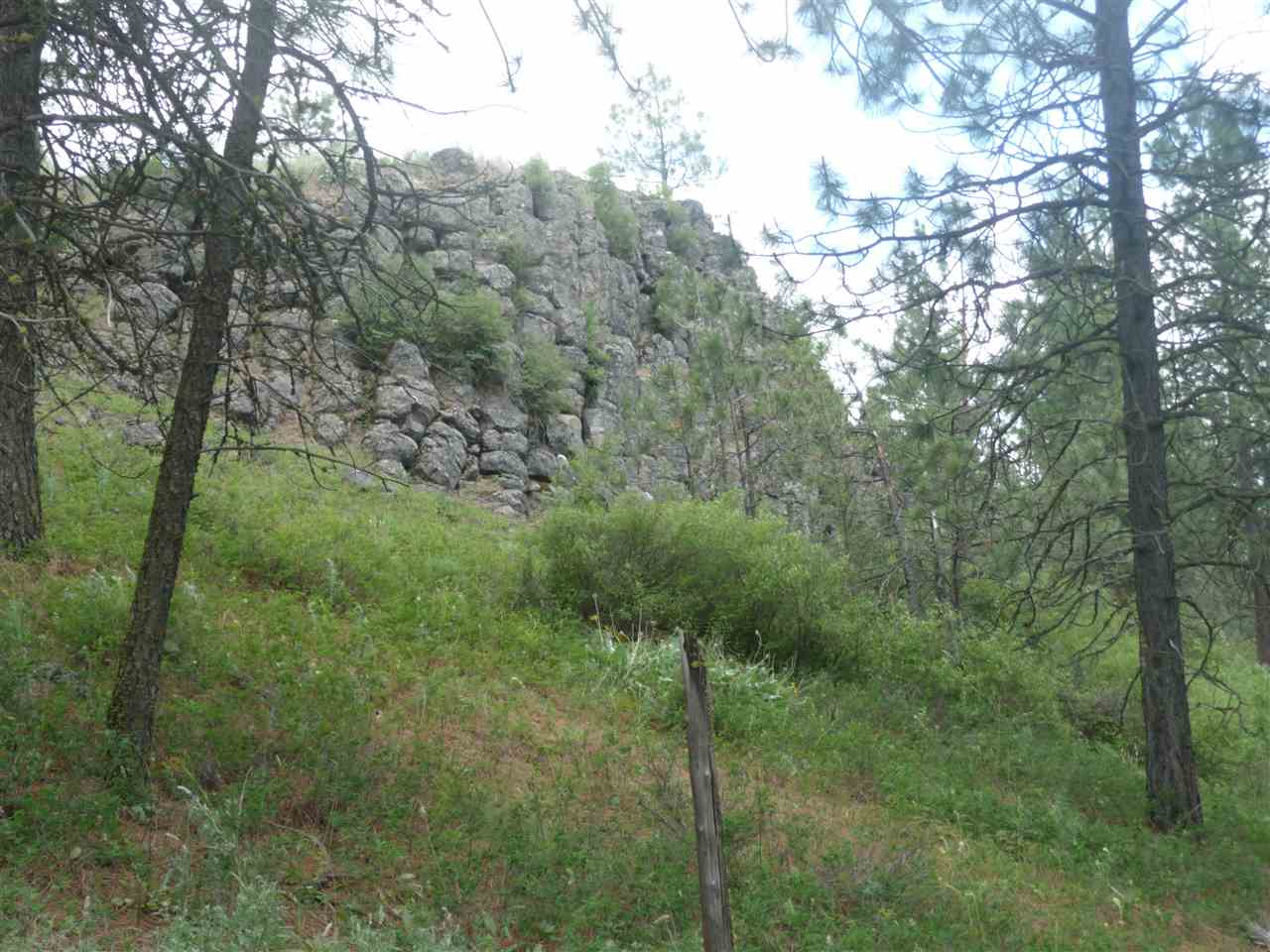 2407 West Jennings Road Spangle, WA 99031 - Photo 2 of 18