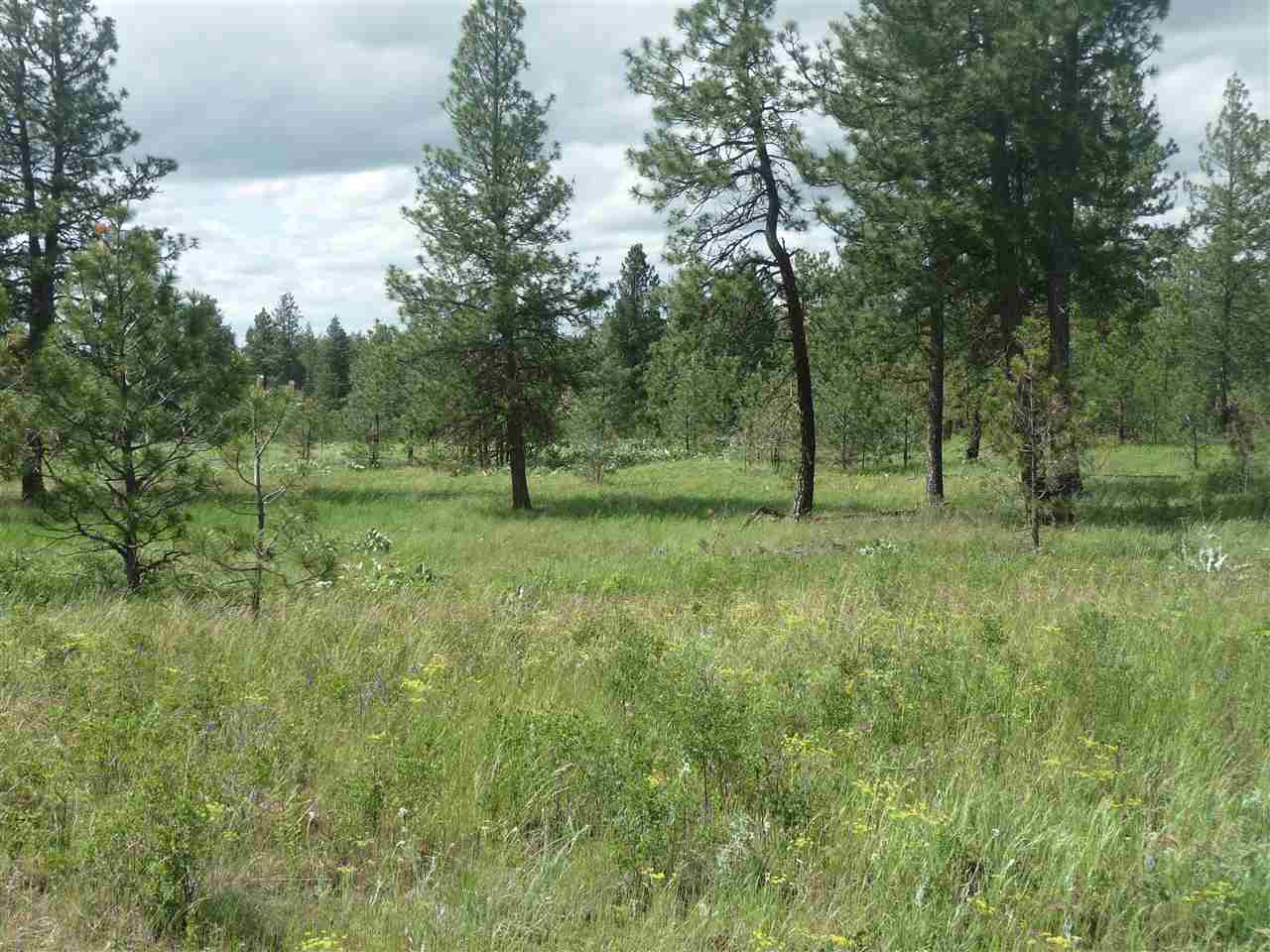 2407 West Jennings Road Spangle, WA 99031 - Photo 11 of 18