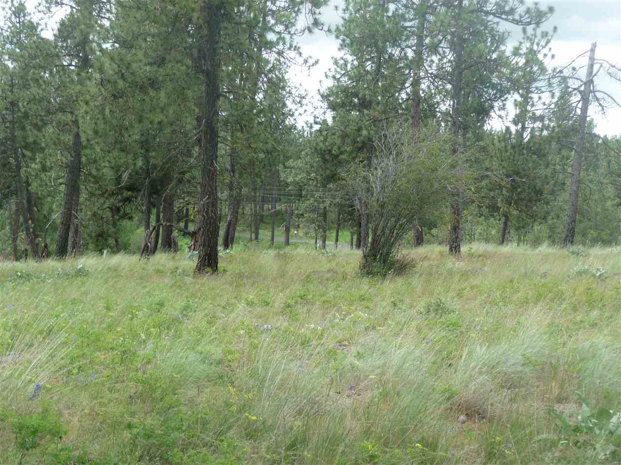2407 West Jennings Road Spangle, WA 99031 - Photo 12 of 18