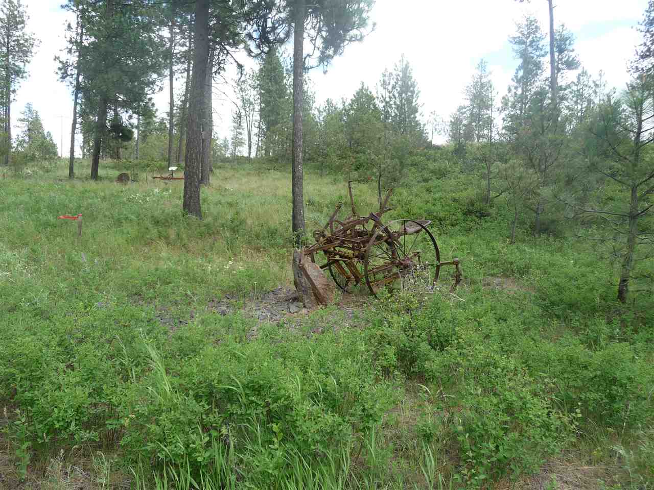 2407 West Jennings Road Spangle, WA 99031 - Photo 14 of 18