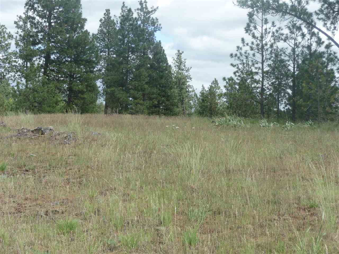 2407 West Jennings Road Spangle, WA 99031 - Photo 15 of 18