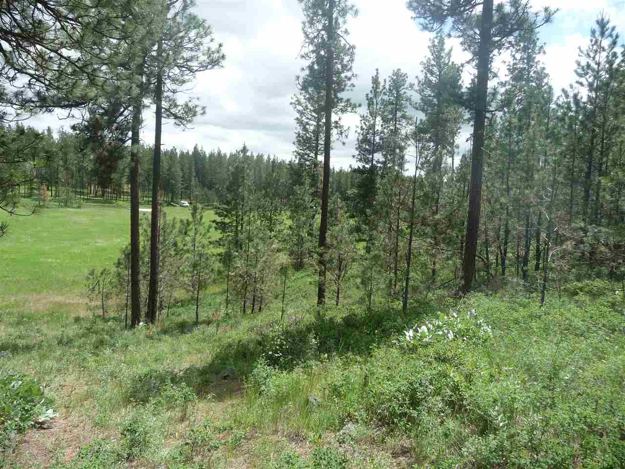 2407 West Jennings Road Spangle, WA 99031 - Photo 16 of 18