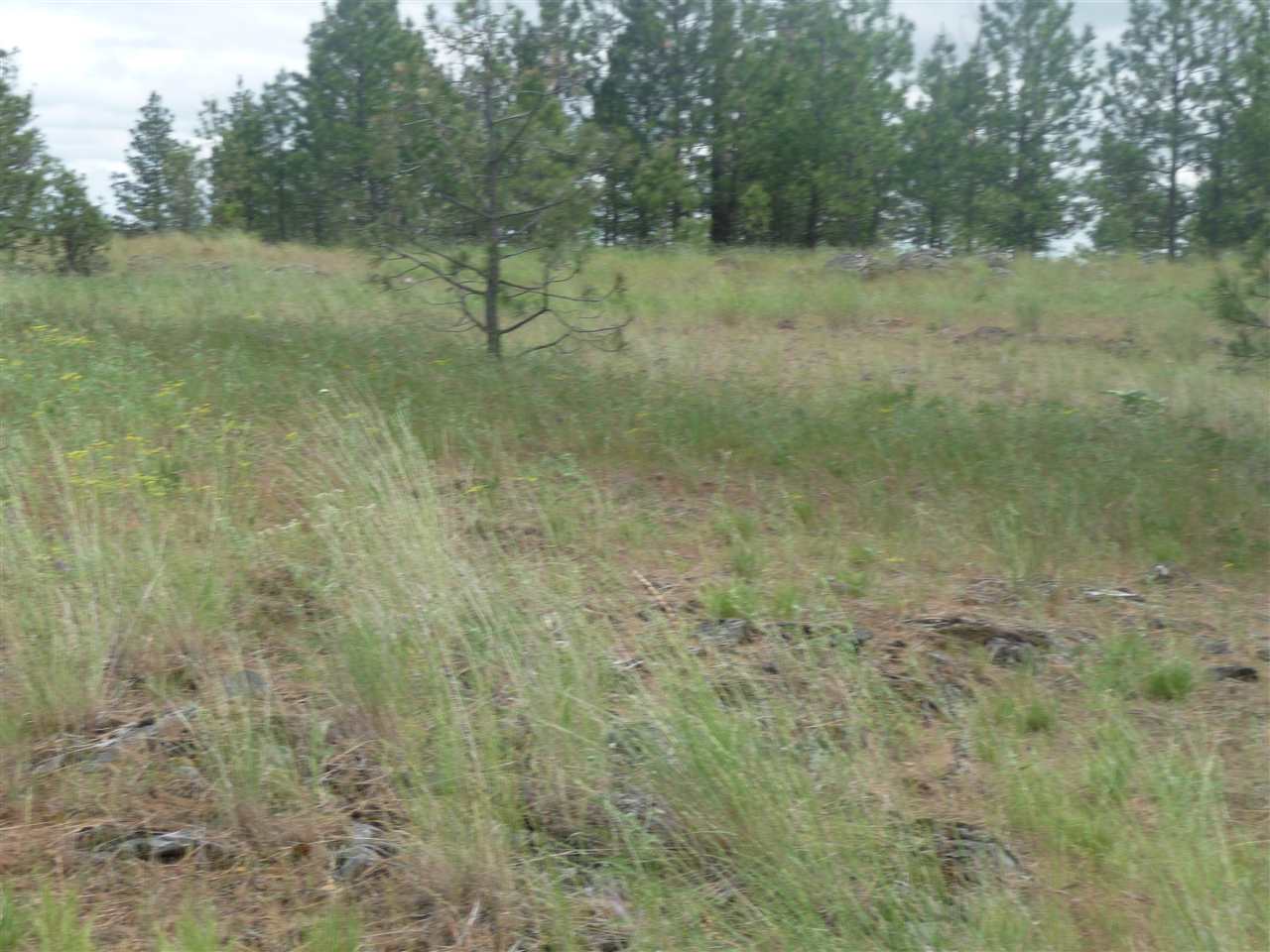 2407 West Jennings Road Spangle, WA 99031 - Photo 17 of 18