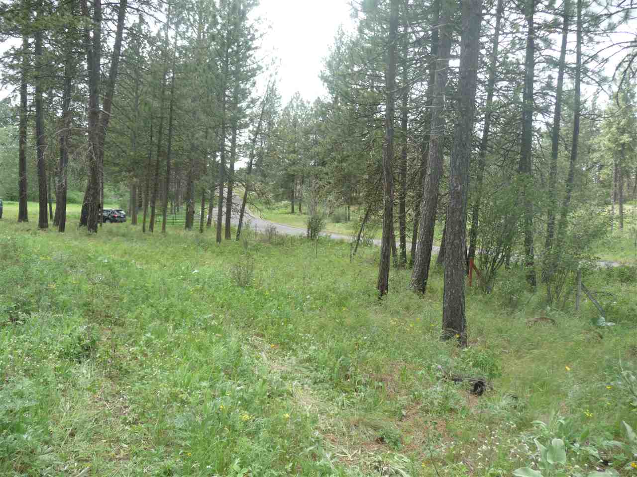 2407 West Jennings Road Spangle, WA 99031 - Photo 18 of 18