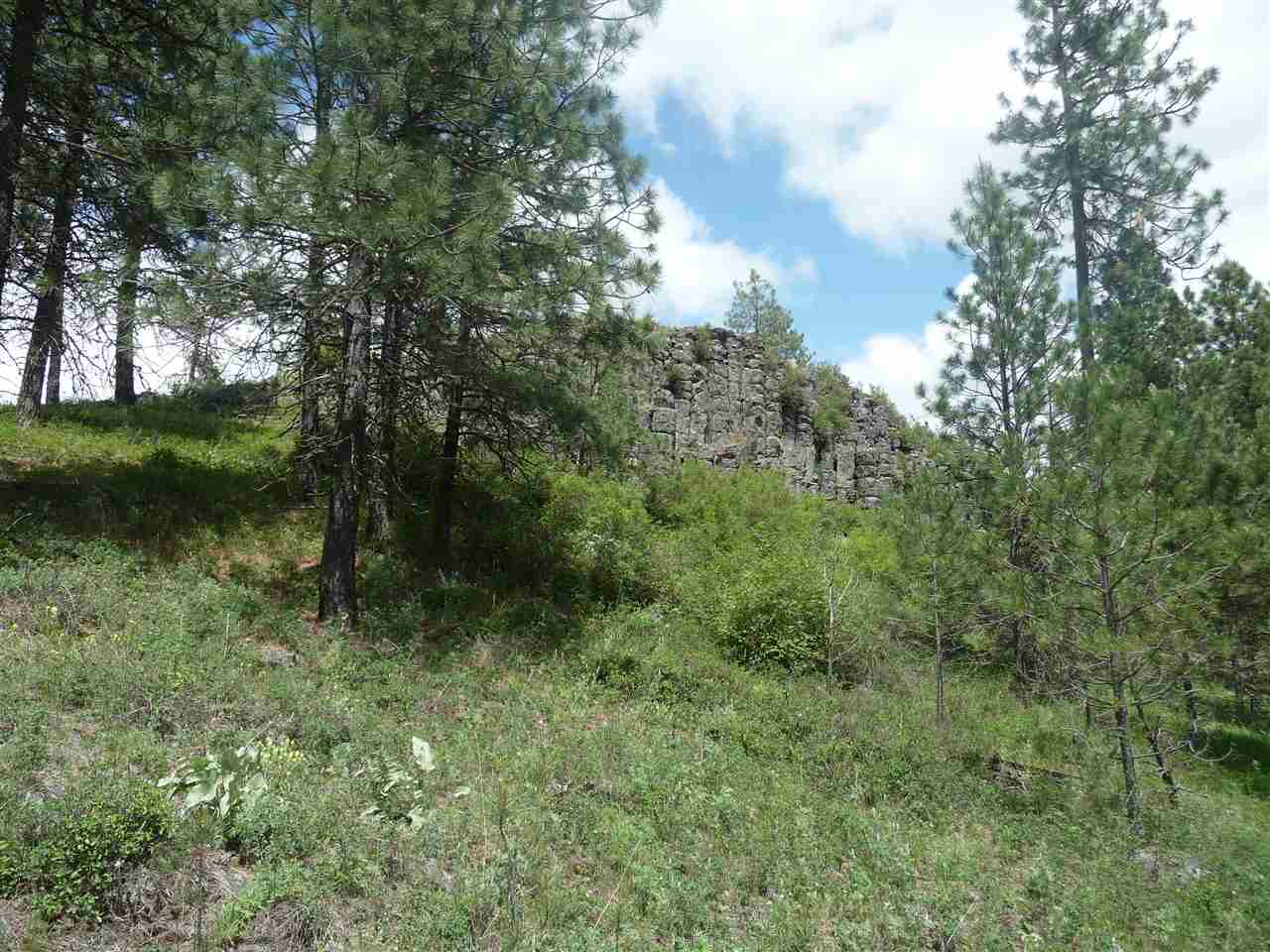 2407 West Jennings Road Spangle, WA 99031 - Photo 3 of 18