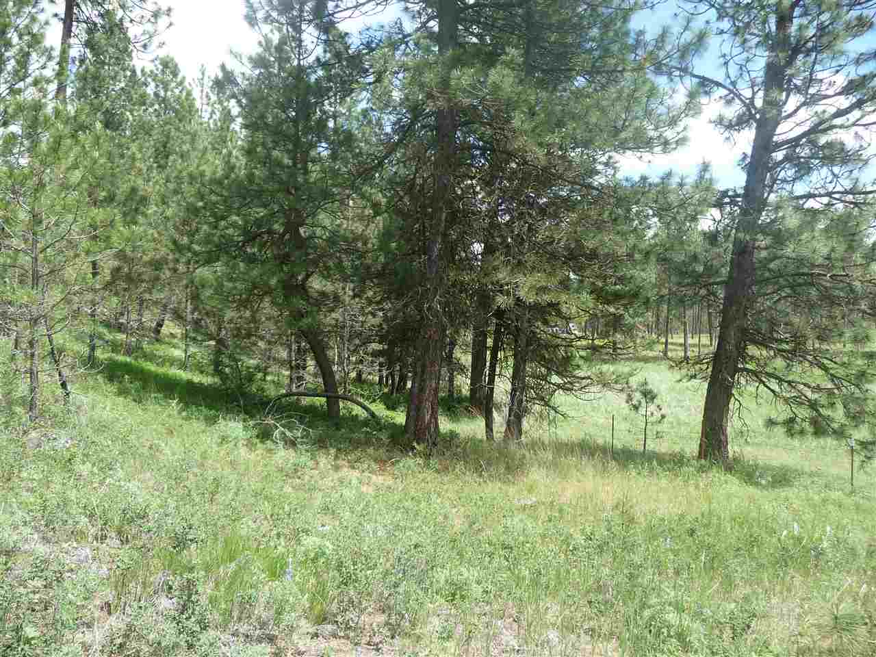 2407 West Jennings Road Spangle, WA 99031 - Photo 4 of 18