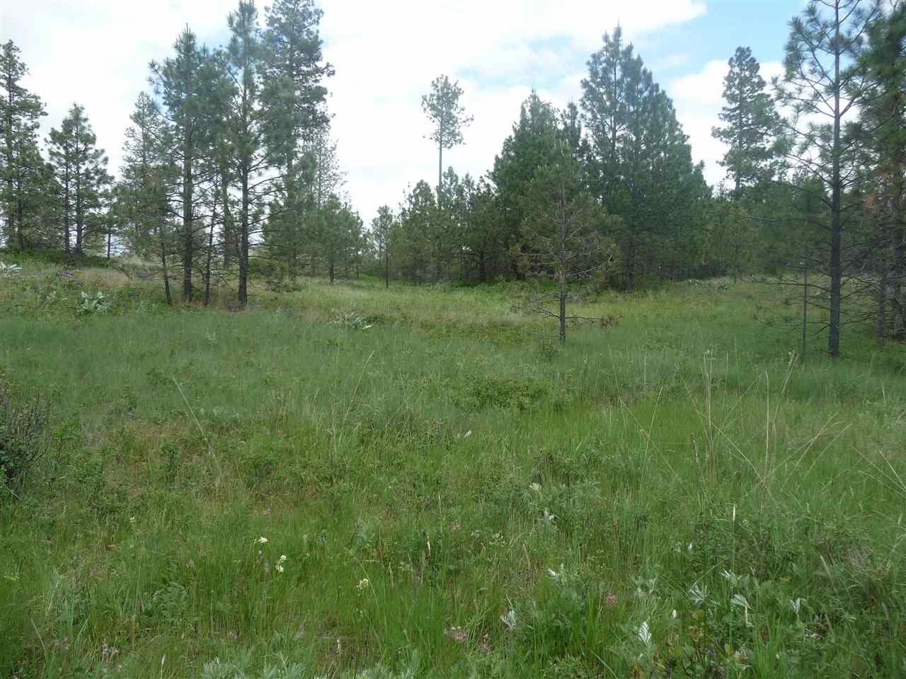 2407 West Jennings Road Spangle, WA 99031 - Photo 5 of 18