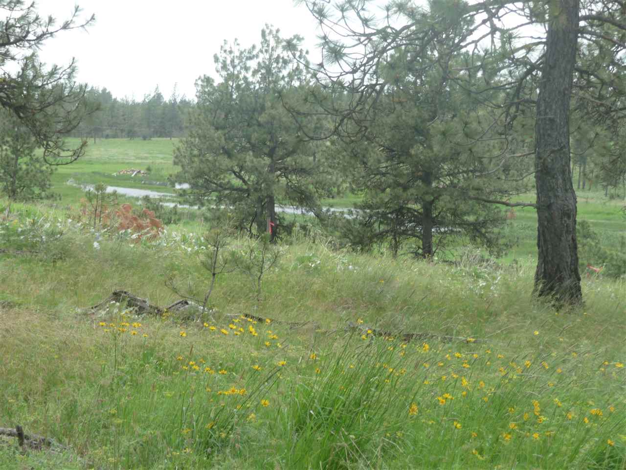 2407 West Jennings Road Spangle, WA 99031 - Photo 9 of 18