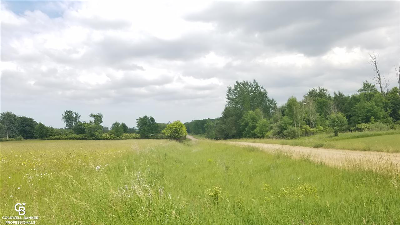 Wellman Line Ville Melvin, MI 48454 - Photo 13 of 16