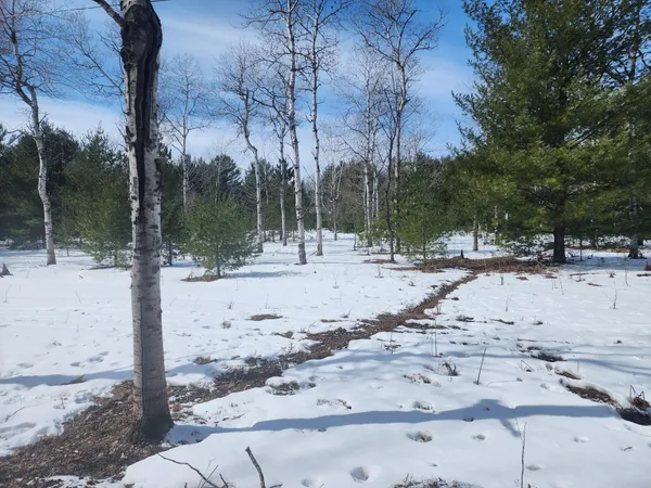 $259,990 | Hall Creek Road, Interlochen, MI 49643