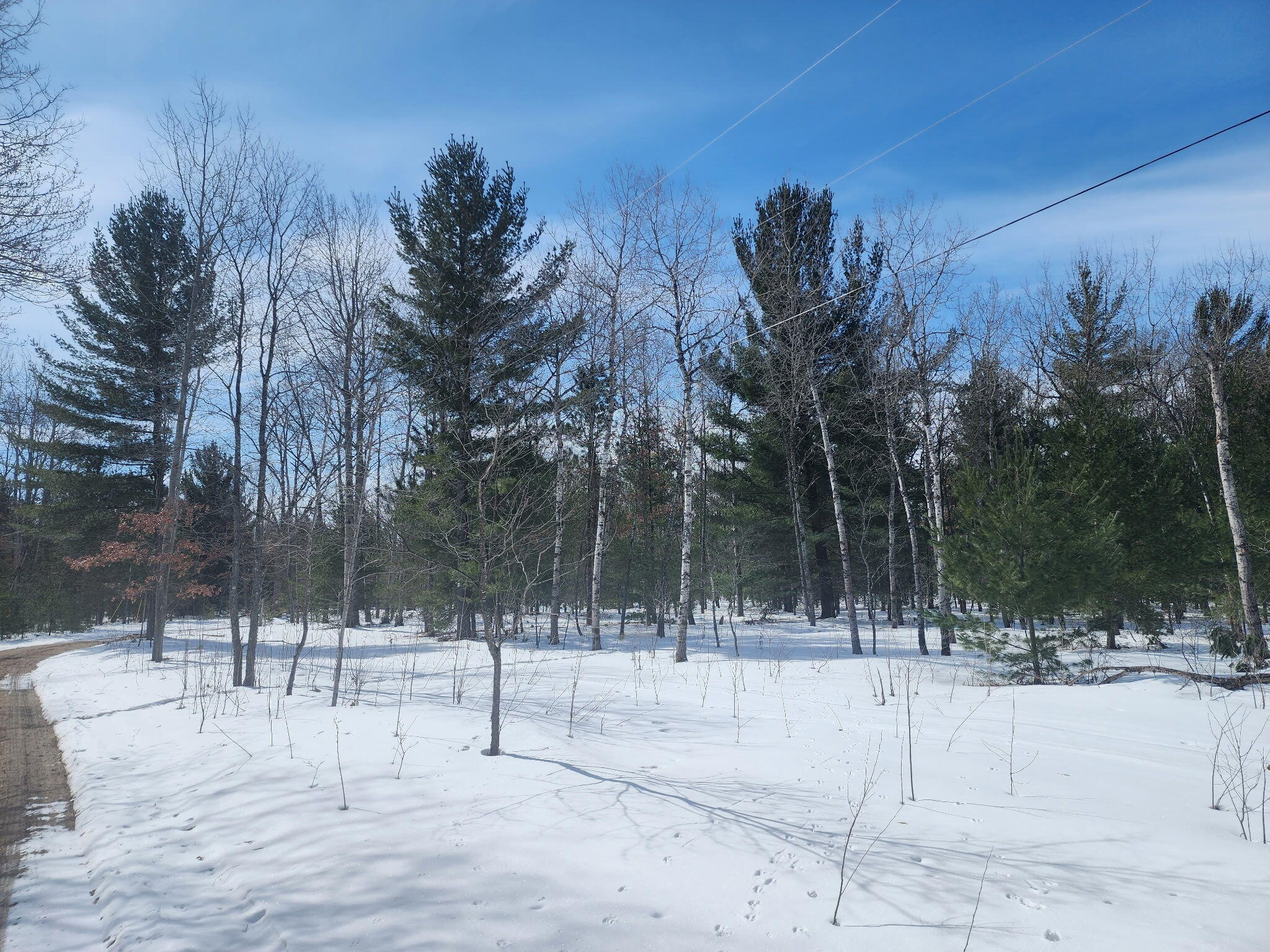 0 Hall Creek Road Interlochen, MI 49643 - Photo 2 of 5 1332486644294416220