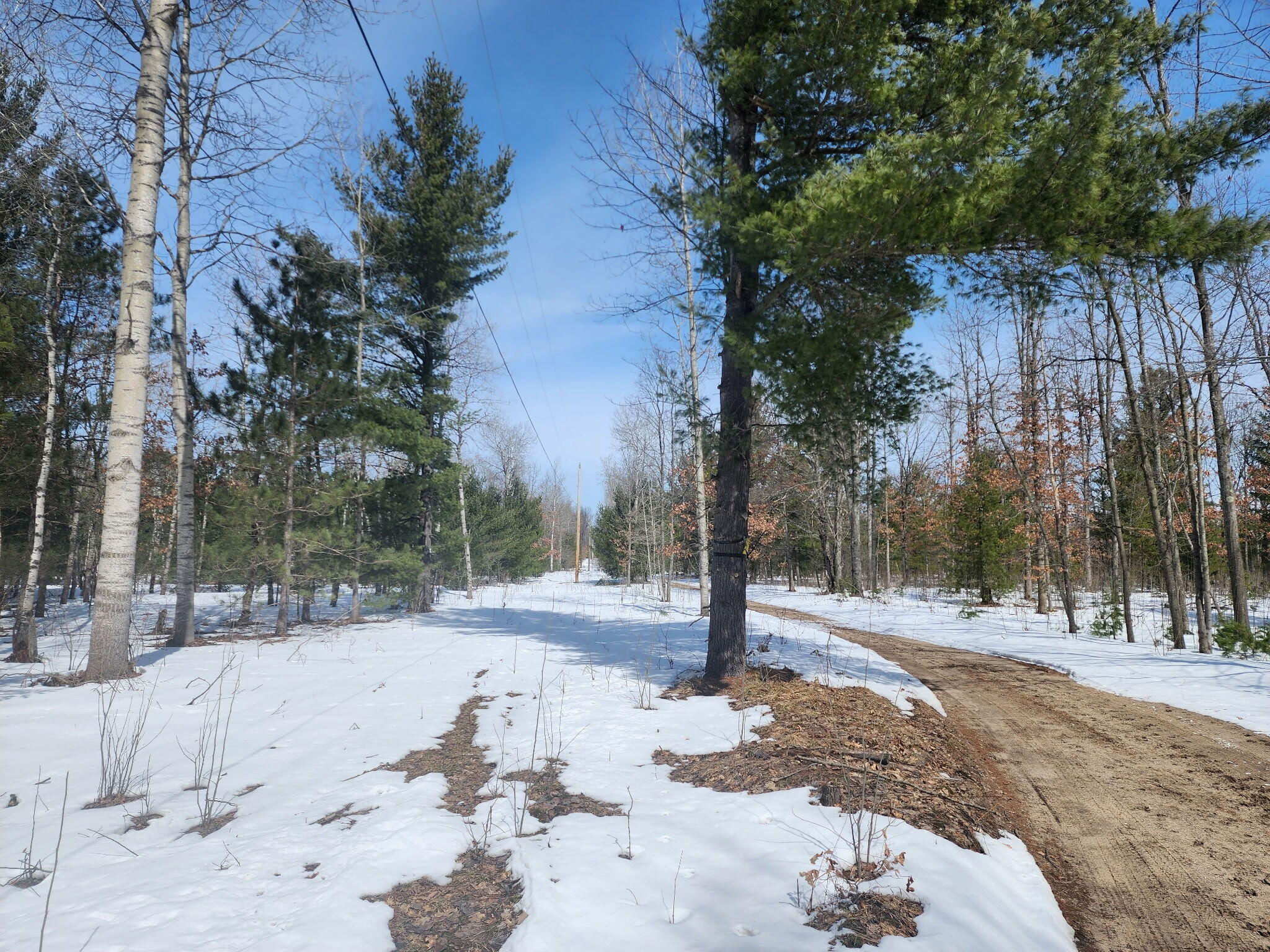 0 Hall Creek Road Interlochen, MI 49643 - Photo 4 of 5 6261894082466066756