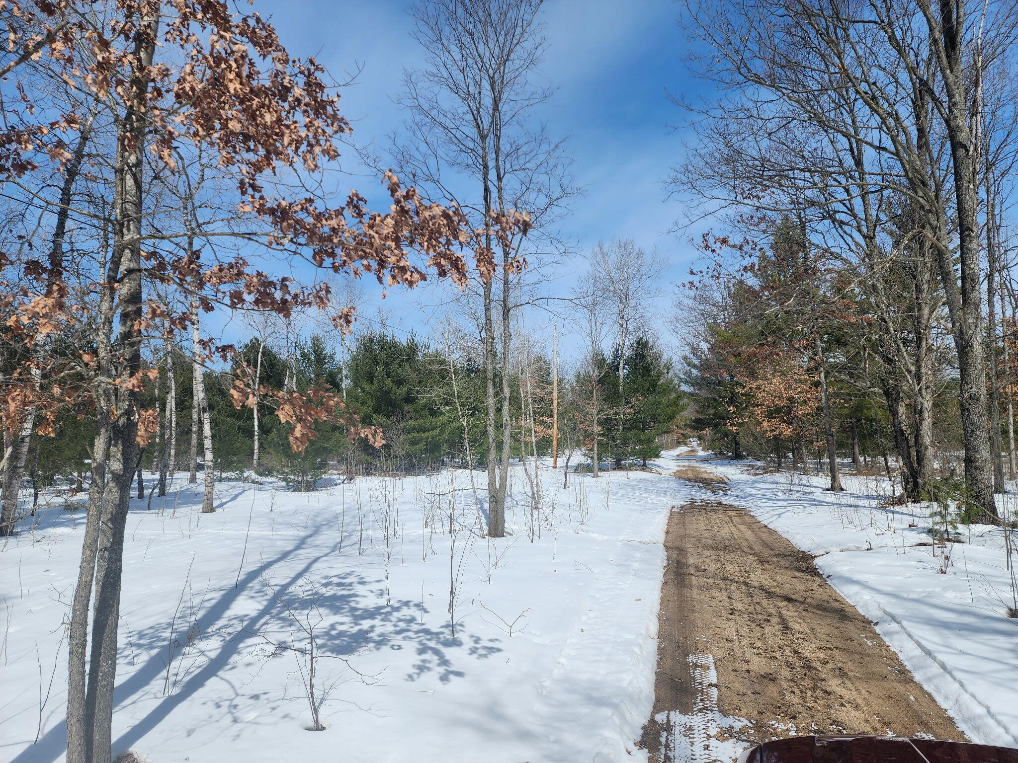 0 Hall Creek Road Interlochen, MI 49643 - Photo 5 of 5 9170701542852379391