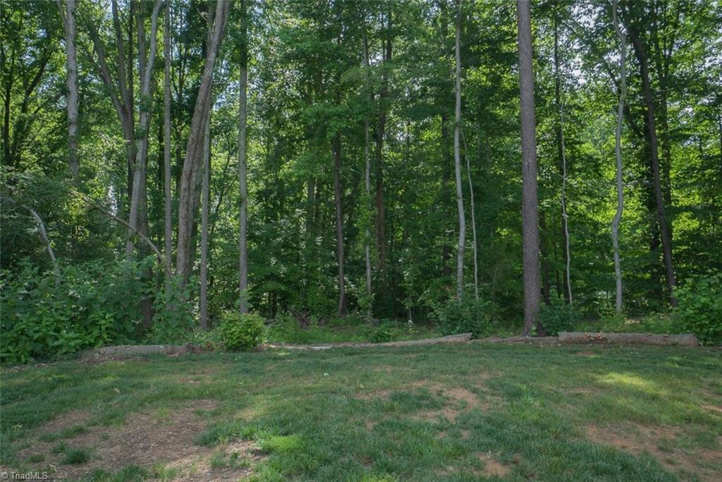 8523 Julina Drive Oak Ridge, NC 27310 - Photo 23 of 48