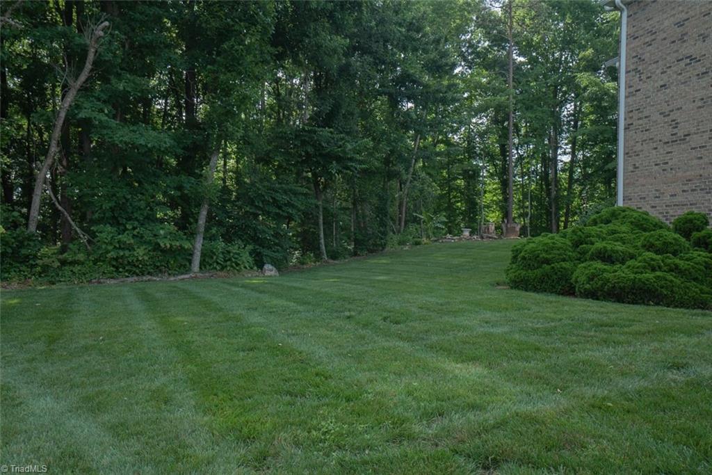 8523 Julina Drive Oak Ridge, NC 27310 - Photo 25 of 48