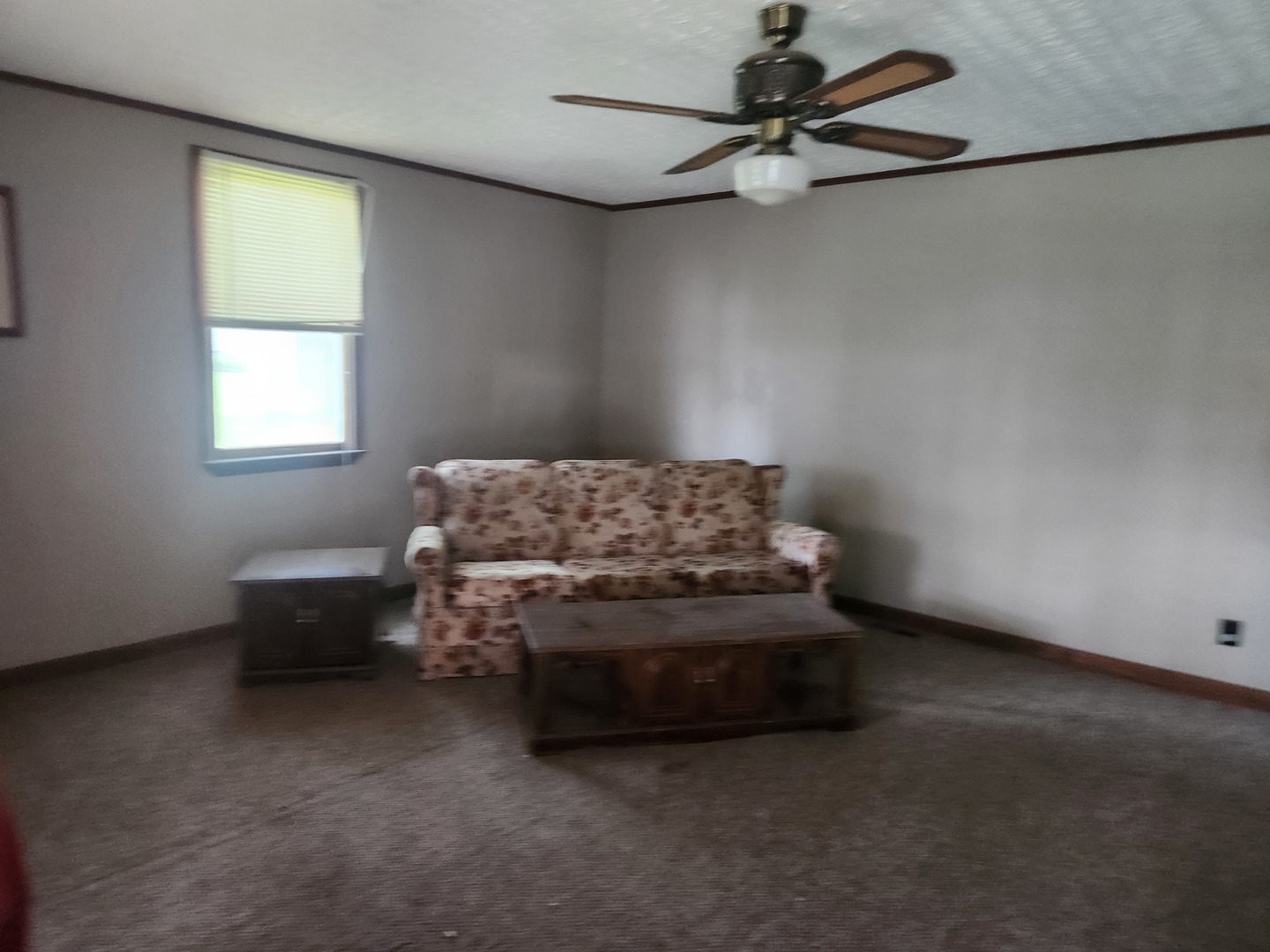 33 Cripple Creek Road Pinckneyville, IL 62274 - Photo 6 of 10
