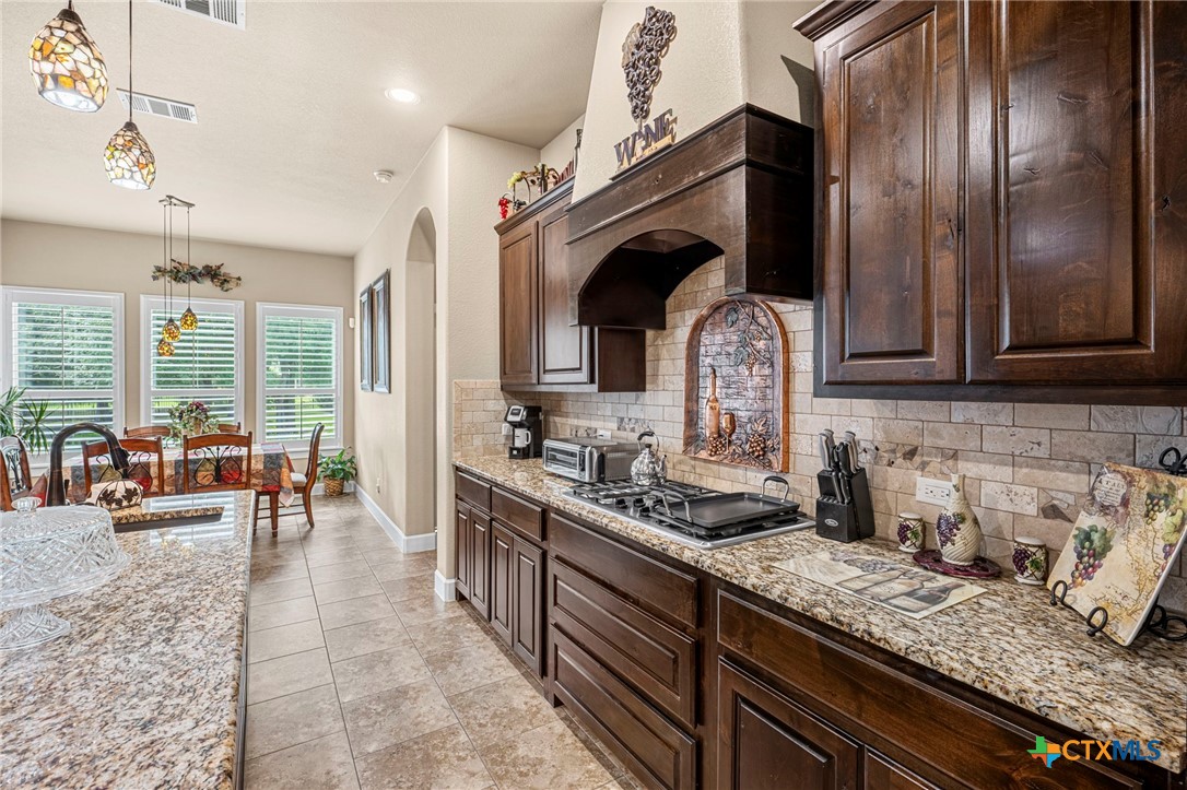 1105 Bella Risa Drive Georgetown, TX 78633 - Photo 19 of 47