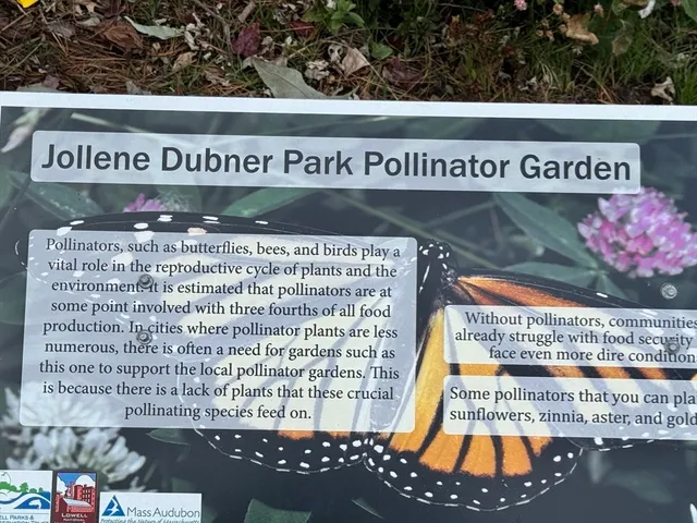 $375,000 | 31 Merrill Street, Lowell, MA 01852