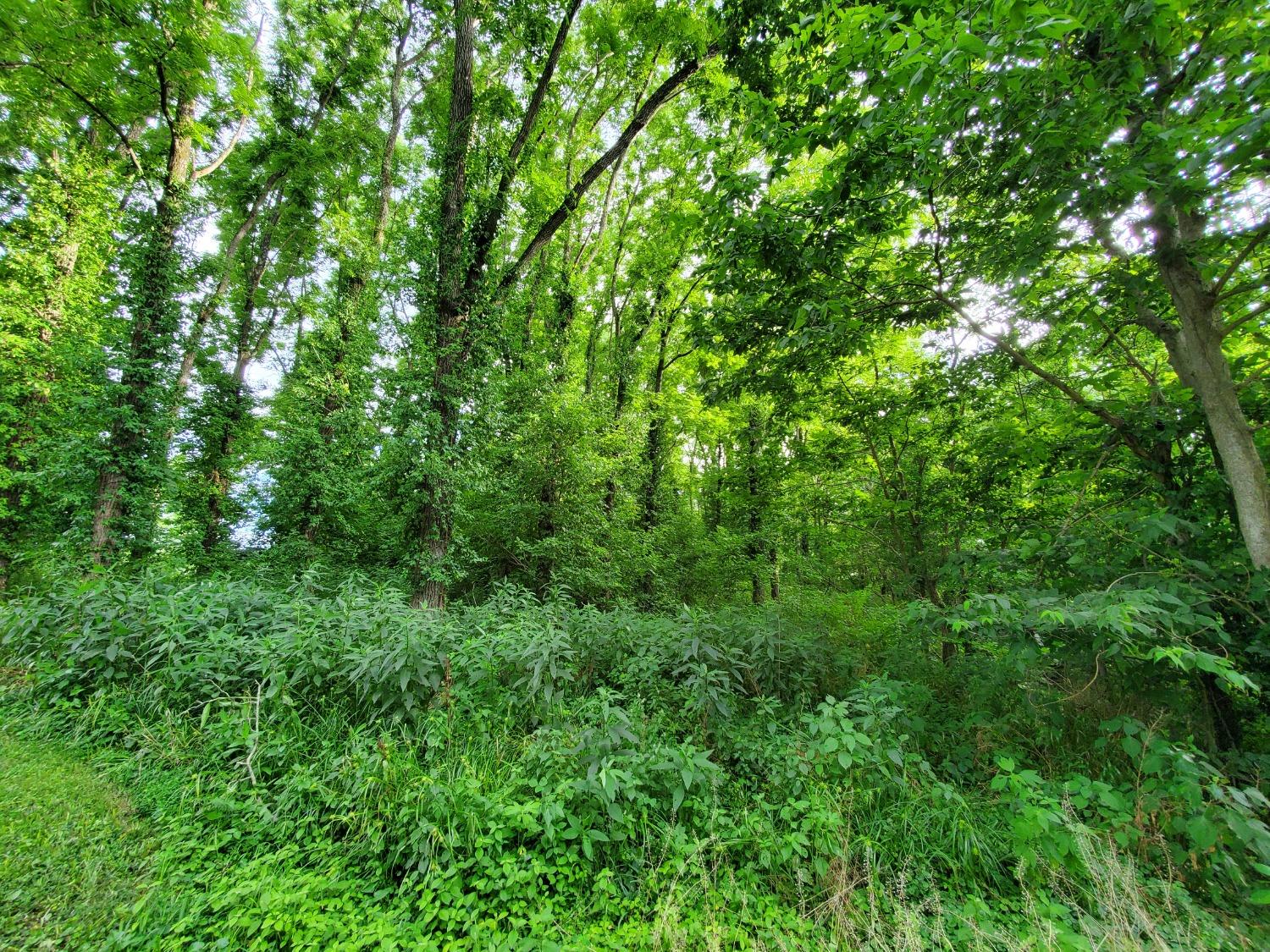 0 Washington Street Vevay, IN 47043 - Photo 11 of 12