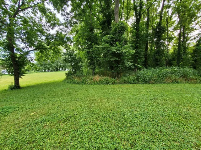 $95,000 | 0 Washington Street, Vevay, IN 47043