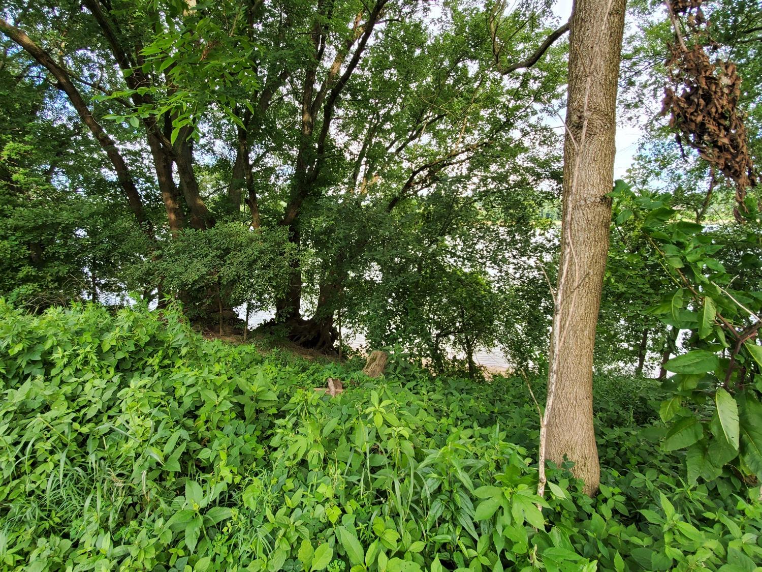 0 Washington Street Vevay, IN 47043 - Photo 6 of 12