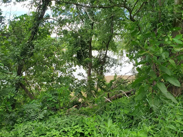 $95,000 | 0 Washington Street, Vevay, IN 47043