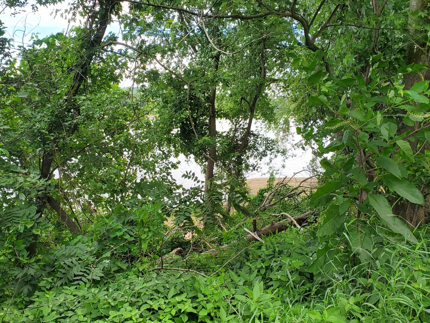 0 Washington Street Vevay, IN 47043 - Photo 7 of 12