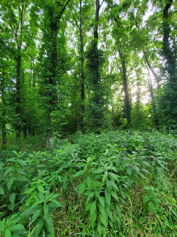 $95,000 | 0 Washington Street, Vevay, IN 47043