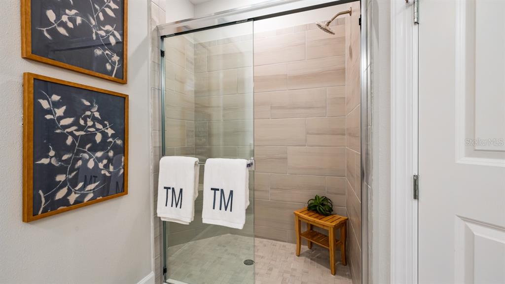 3910 Immacolata Way Wesley Chapel, FL 33543 - Photo 32 of 70