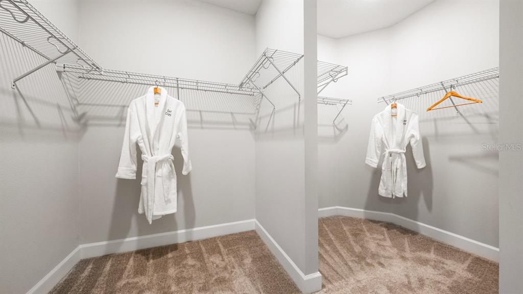 3910 Immacolata Way Wesley Chapel, FL 33543 - Photo 33 of 70