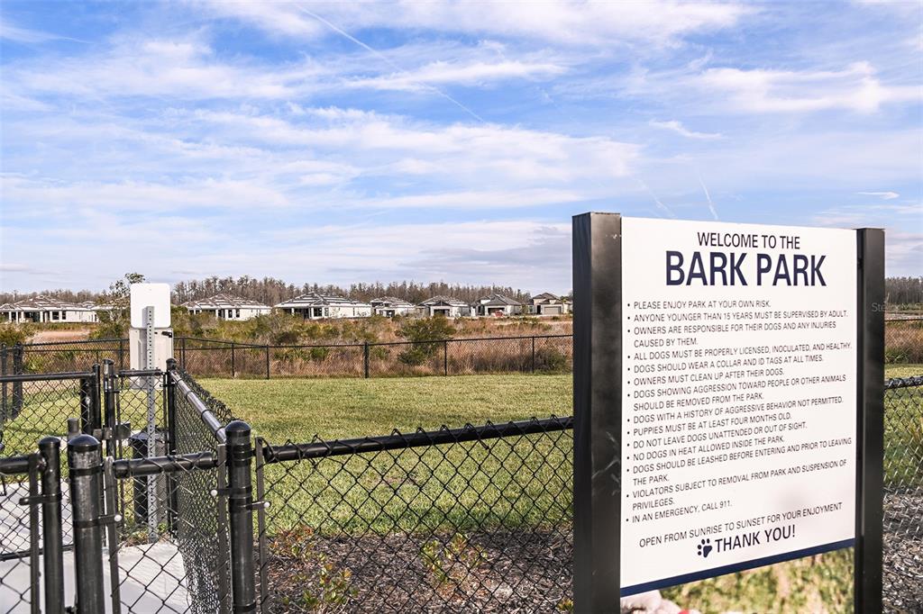 3910 Immacolata Way Wesley Chapel, FL 33543 - Photo 35 of 70