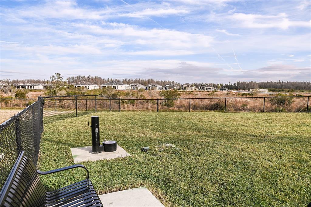 3910 Immacolata Way Wesley Chapel, FL 33543 - Photo 36 of 70