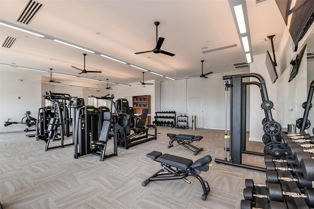 3910 Immacolata Way Wesley Chapel, FL 33543 - Photo 43 of 70