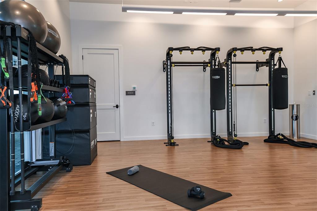 3910 Immacolata Way Wesley Chapel, FL 33543 - Photo 46 of 70