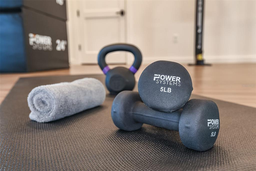 3910 Immacolata Way Wesley Chapel, FL 33543 - Photo 47 of 70