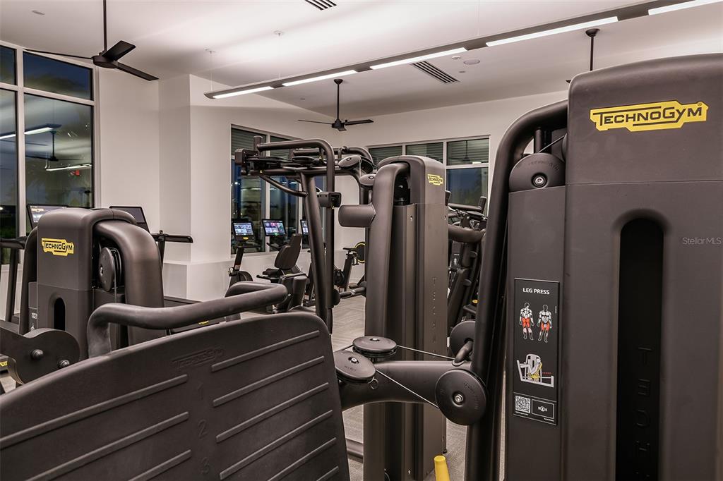 3910 Immacolata Way Wesley Chapel, FL 33543 - Photo 50 of 70