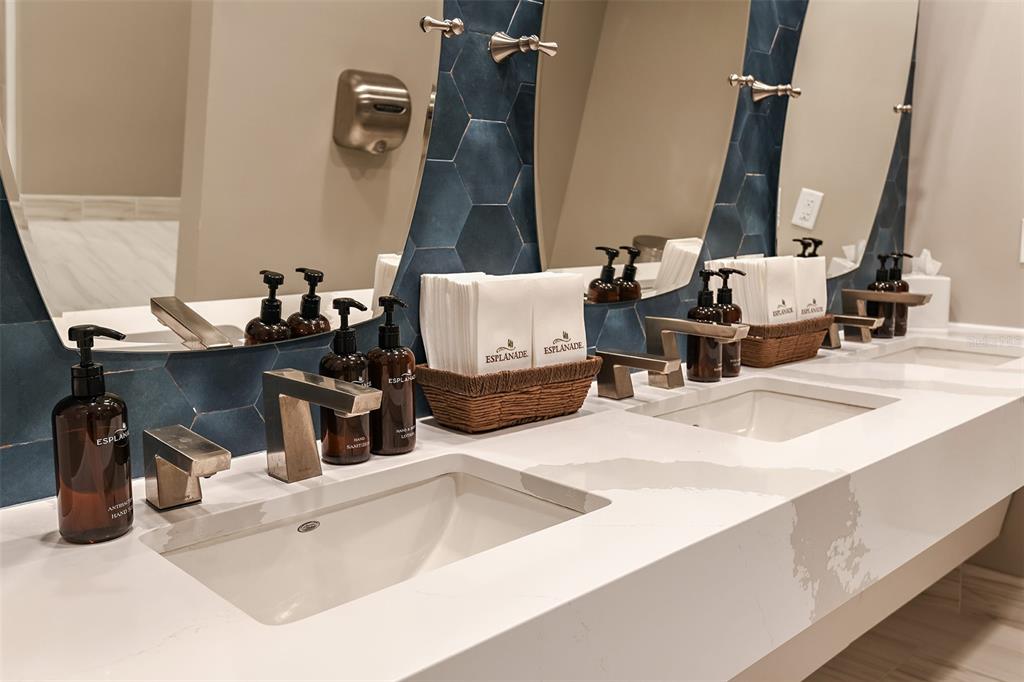 3910 Immacolata Way Wesley Chapel, FL 33543 - Photo 51 of 70