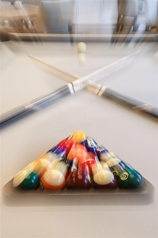 3910 Immacolata Way Wesley Chapel, FL 33543 - Photo 55 of 70