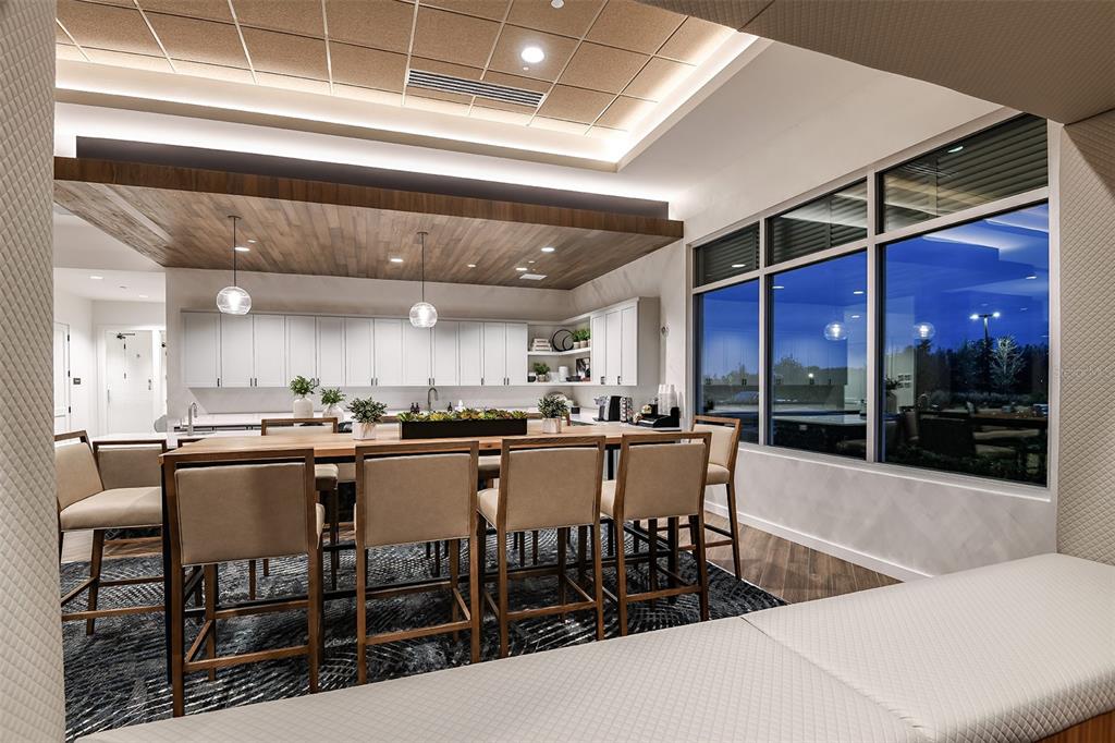 3910 Immacolata Way Wesley Chapel, FL 33543 - Photo 64 of 70