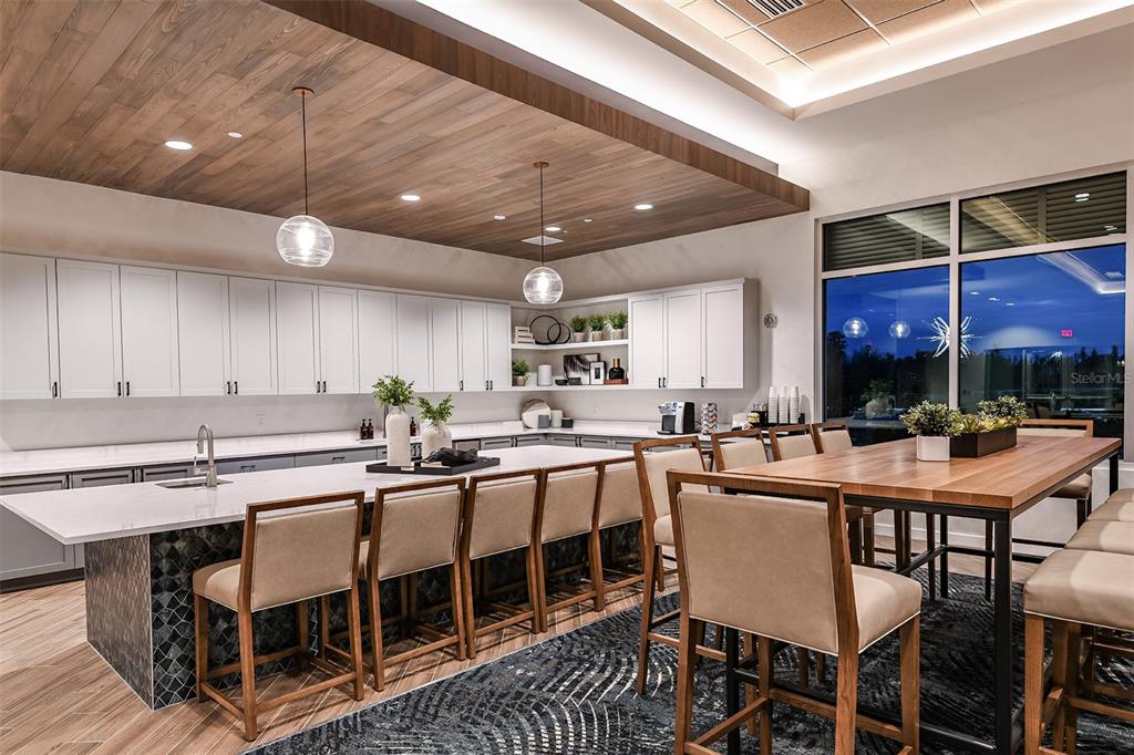 3910 Immacolata Way Wesley Chapel, FL 33543 - Photo 65 of 70