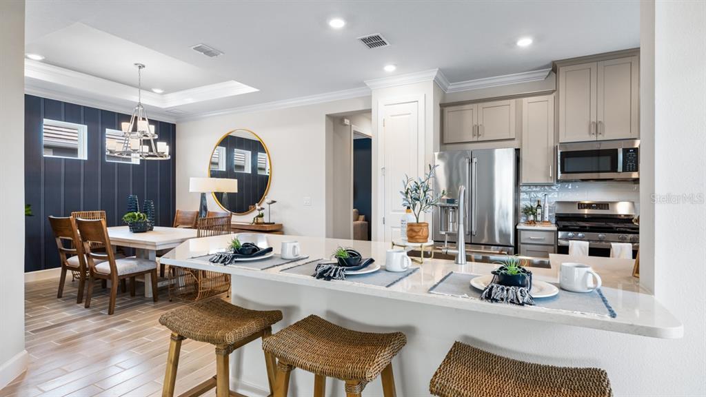 3910 Immacolata Way Wesley Chapel, FL 33543 - Photo 8 of 70