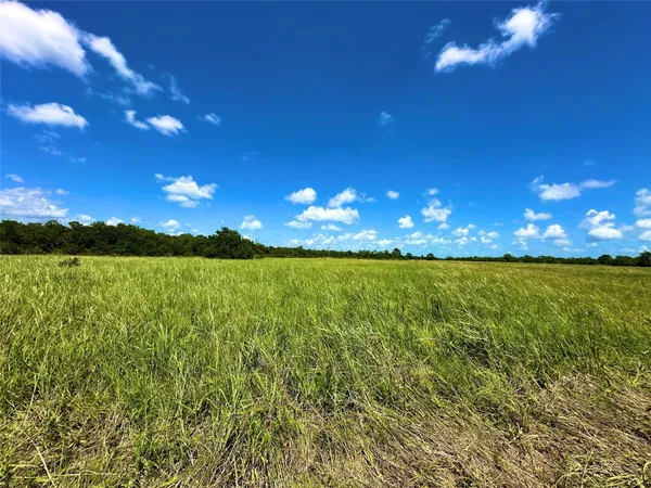 a view of a lake in the apartment building and green space