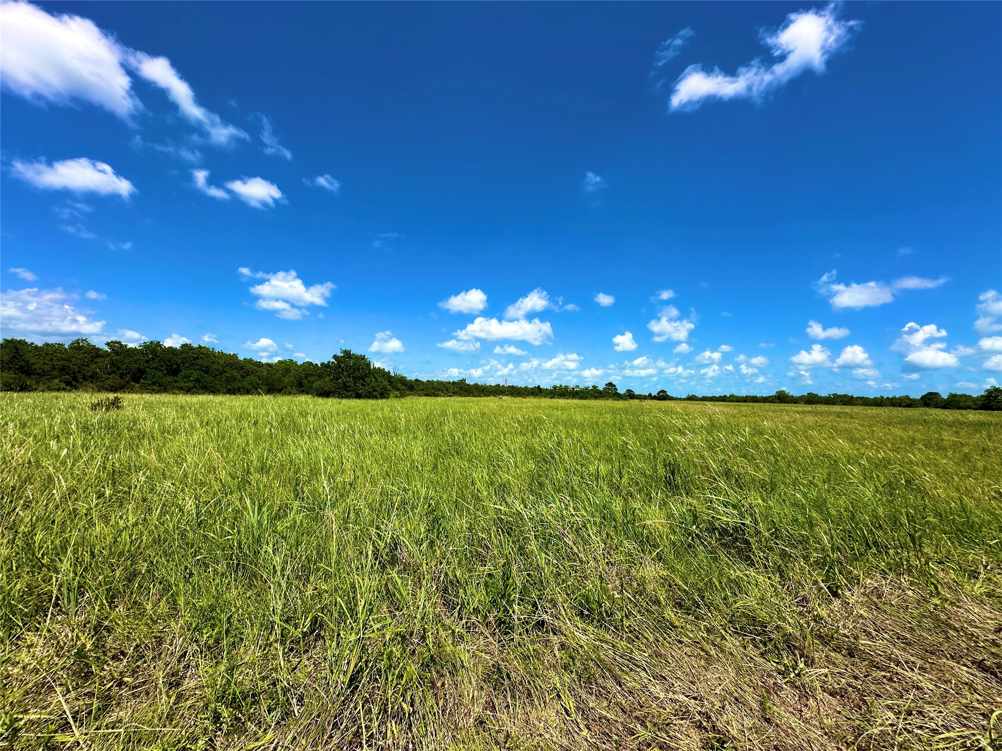 2101 West Bayshore Road Anahuac, TX 77514 - Photo 1 of 10 a view of a lake in the apartment building and green space