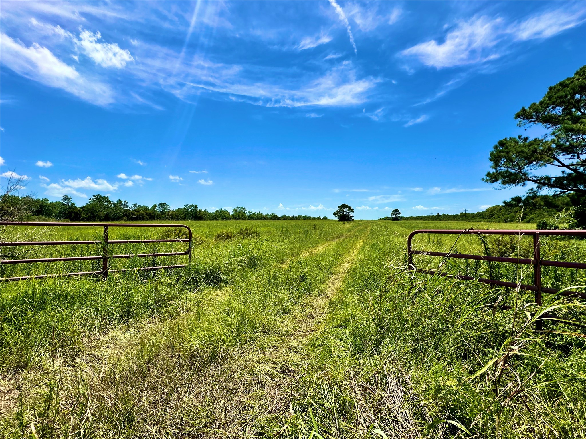 2101 West Bayshore Road Anahuac, TX 77514 - Photo 6 of 10 a view of a field with an outdoor space