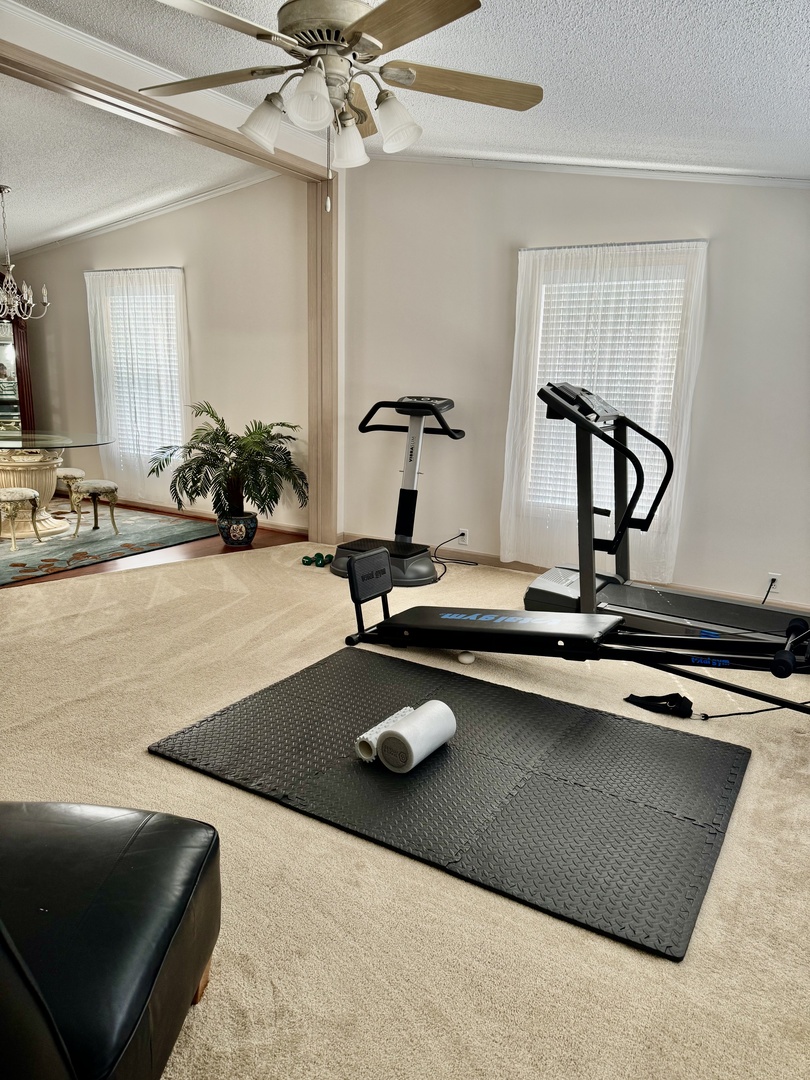 265 Tulip Circle Matteson, IL 60443 - Photo 9 of 25 a view of a room with gym equipment