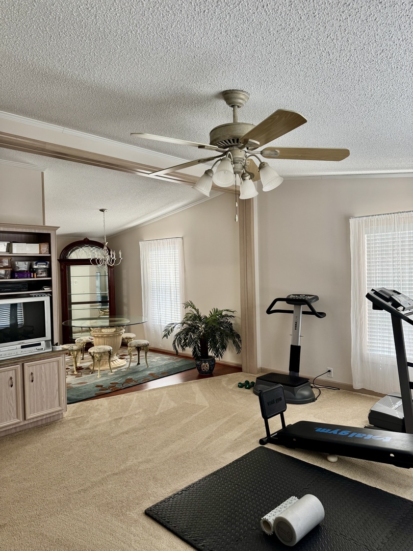 265 Tulip Circle Matteson, IL 60443 - Photo 10 of 25 a room with gym equipment and a large window