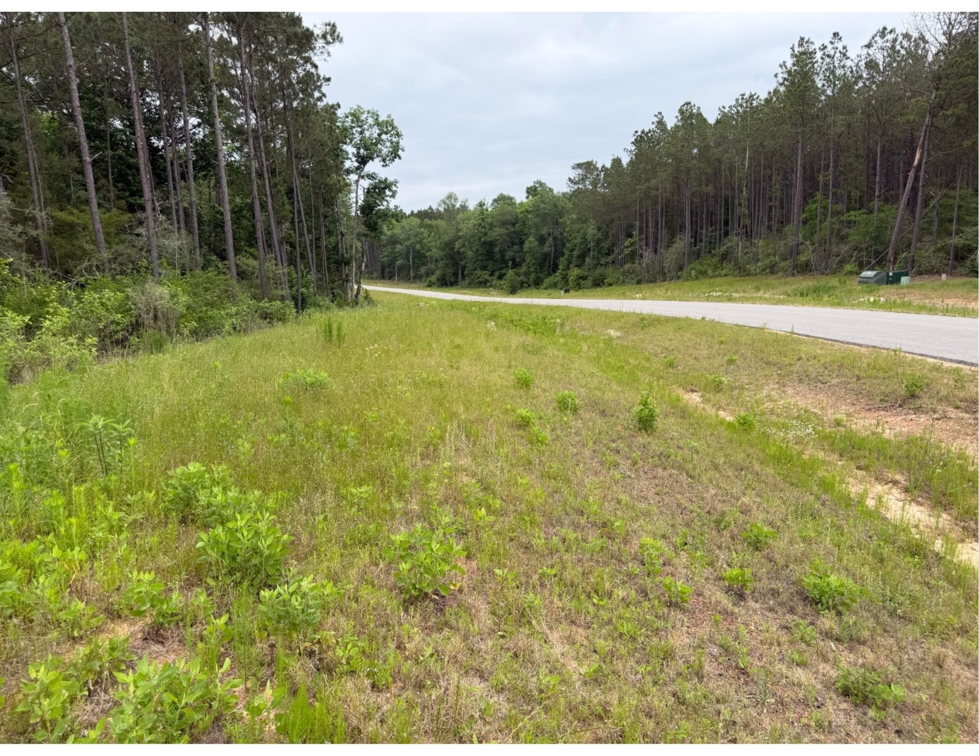 15890 Ridge Oak Road Willis, TX 77378 - Photo 2 of 11 a backyard of a house with lots of green space