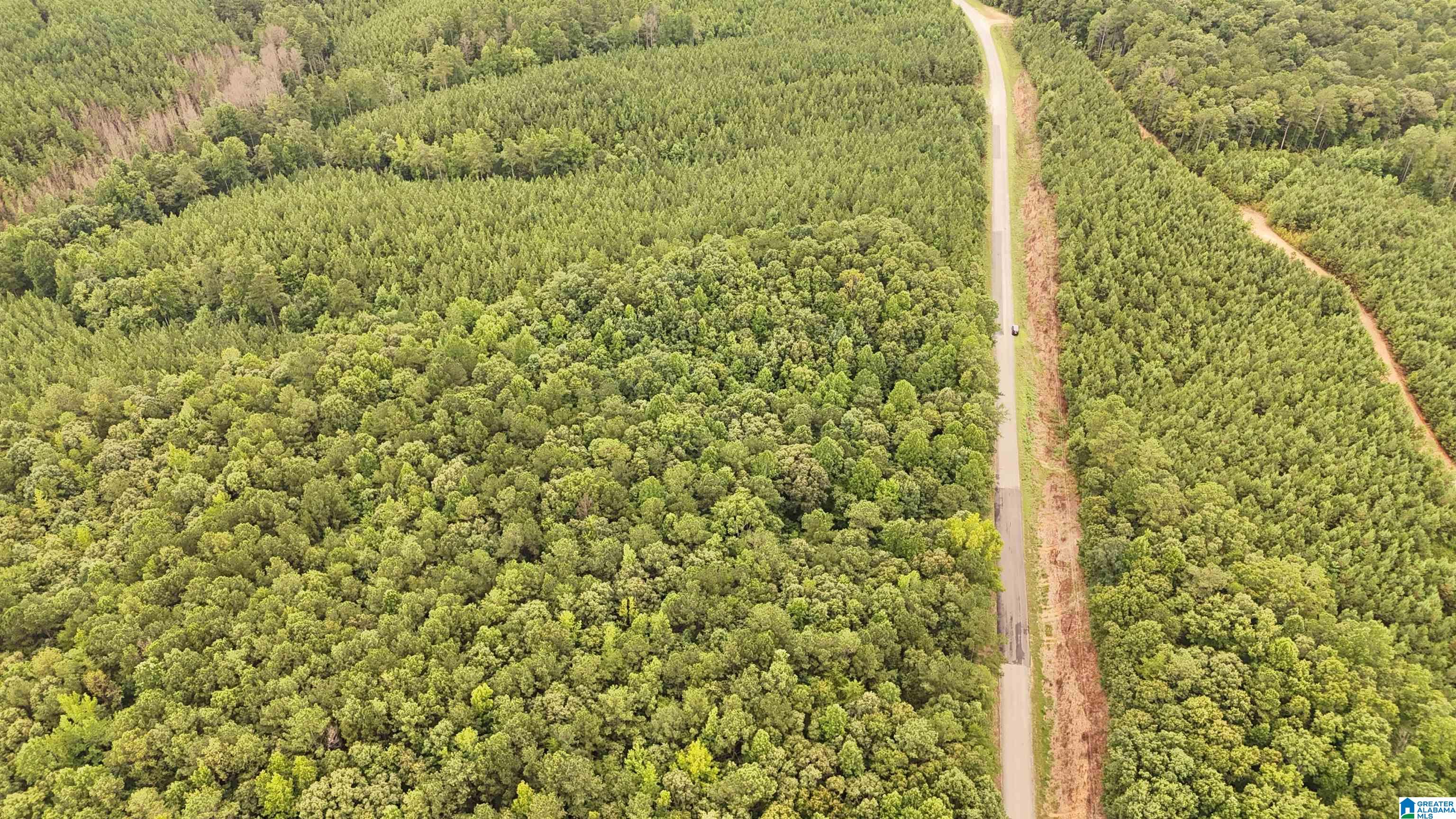 0 County Road 33 Fruithurst, AL 36262 - Photo 3 of 4