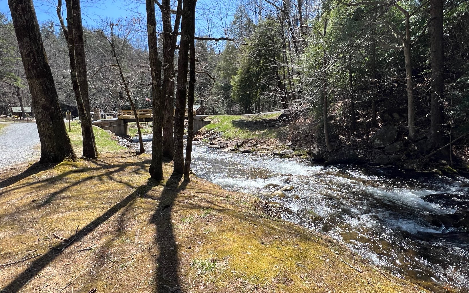 H-85 Mountain Oak Road Ellijay, GA 30536 - Photo 13 of 28 Additional View